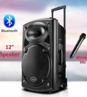 Rechargeable Bluetooth Karaoke Trolly Speaker With Wireless Microphone